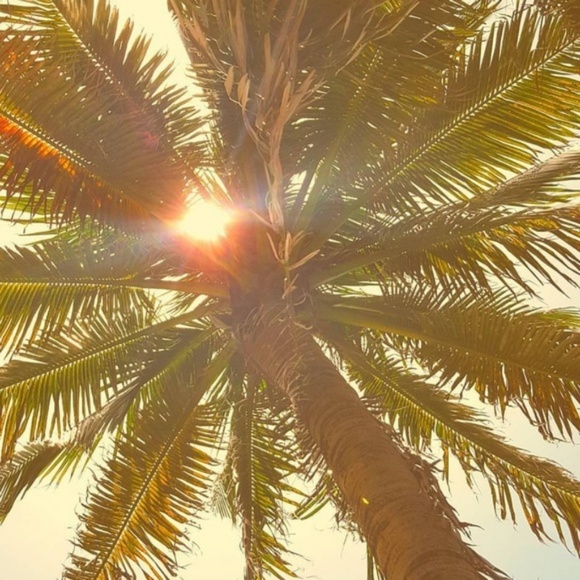 Meet your Posher, Lexi - Picture 3 of 8